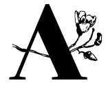 pincealinge logo